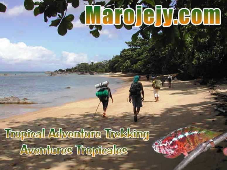 Cliquez pour entrer - Click to enter