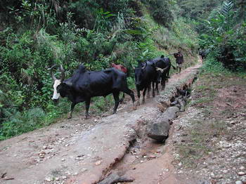 La route nationale - National Road